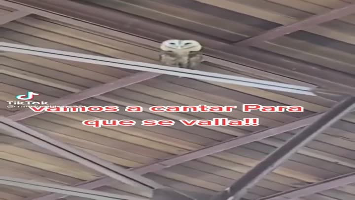 8a4eb4d5ee8970194e48