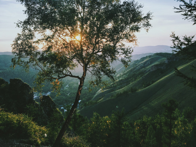 NikitavelikaninwTCVpReyPBUunsplash 1