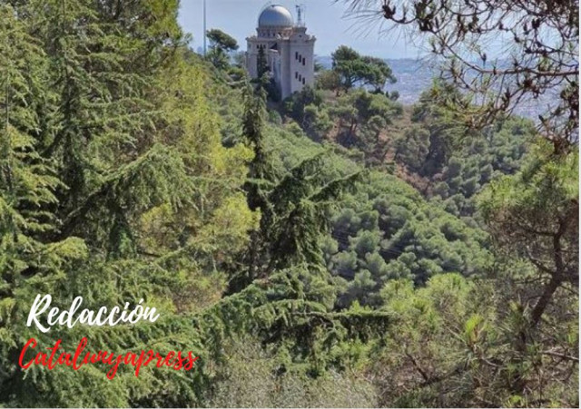 Observatorio3