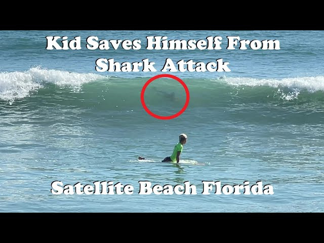 Kid Saves Himself From Shark Attack | Satellite Beach Florida