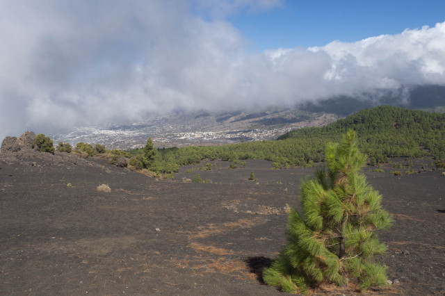 Quant pot durar l'erupció del 'Cumbre Vieja'?