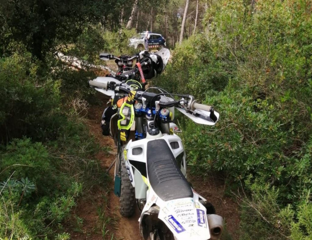 Mossos34 1