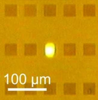 R170 CIENCIA dioxid carboni i llum