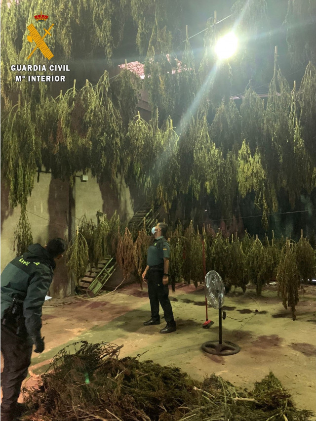 EuropaPress 4006635 imagen almacen plantas marihuana cassa selva girona