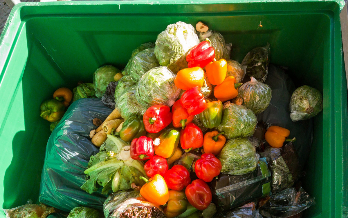 Una de les conferències del cicle tractarà sobre el malbaratament alimentari. Shutterstock