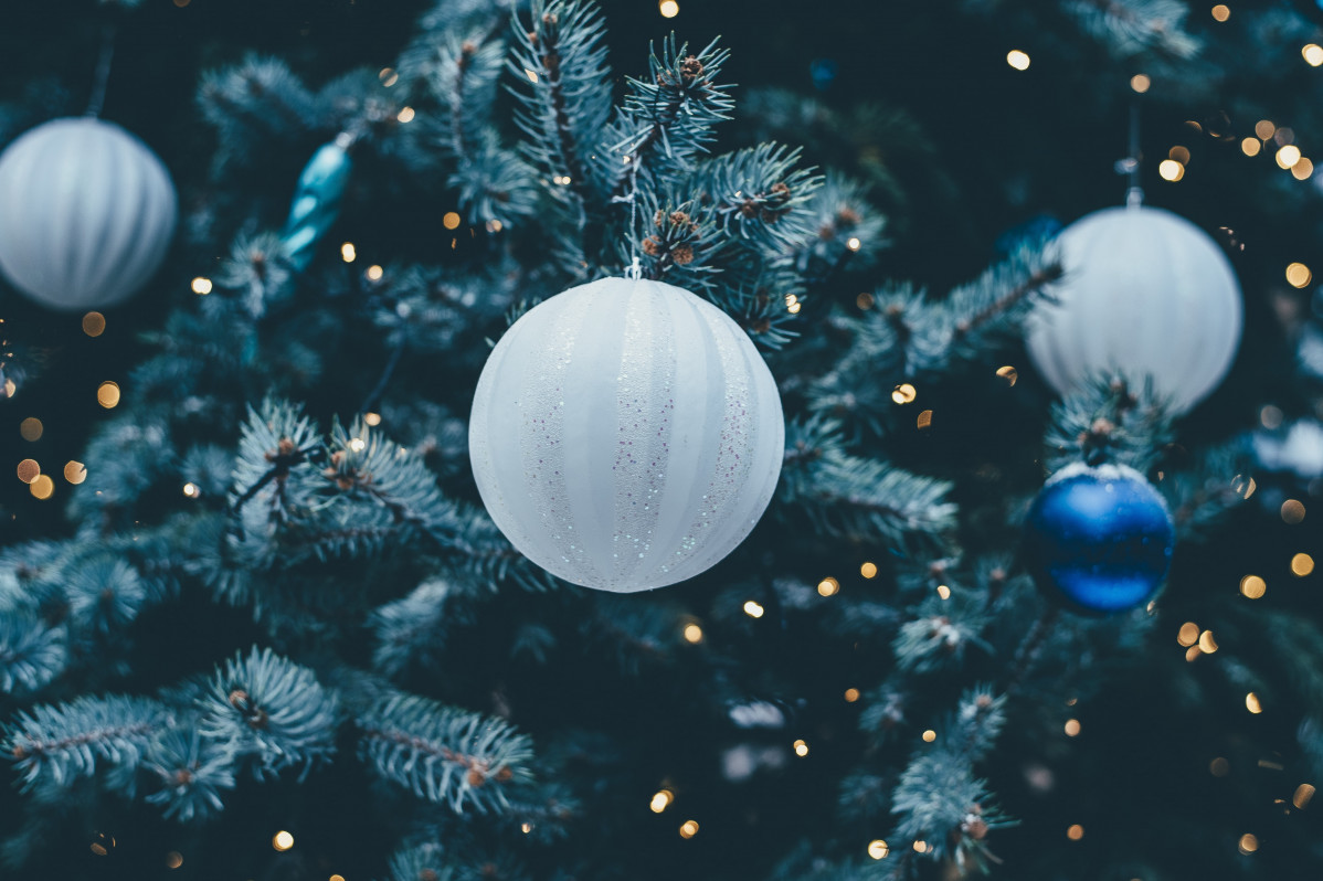 Annie spratt V705bwrTnQI unsplash