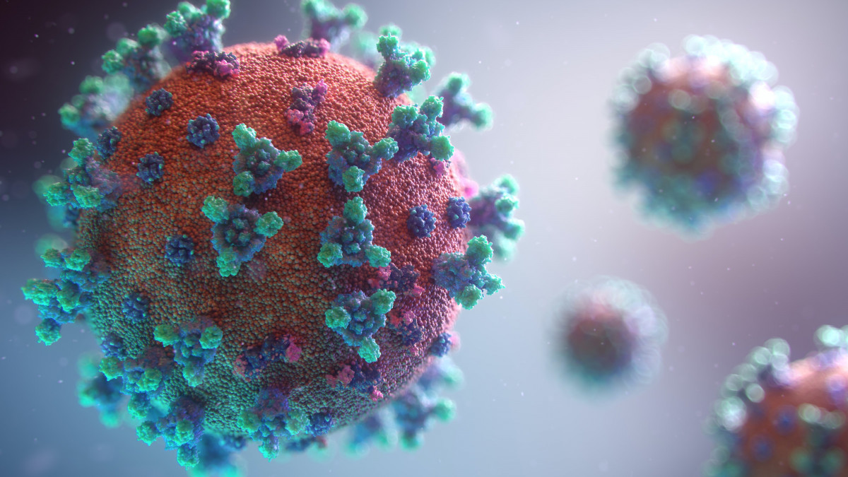 Fusion medical animation rnr8D3FNUNY unsplash (1)