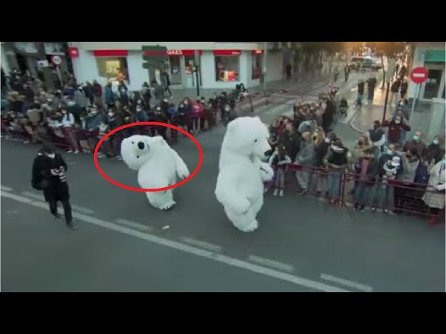 SE LE CAE LA CABEZA A UN OSO DURANTE LA CABALGATA DE LOS REYES MAGOS EN CÁDIZ