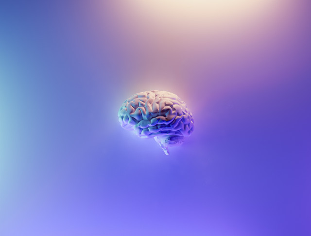 Fakuriandesign58Z17lnVS4Uunsplash