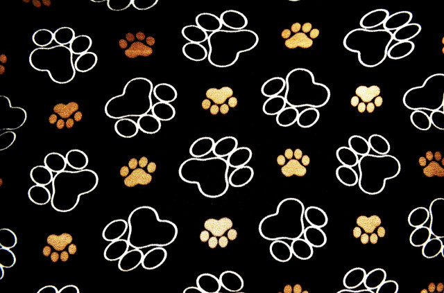 Doggaa66dbbcb 1920