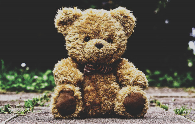 Teddybearge4a387079 1920