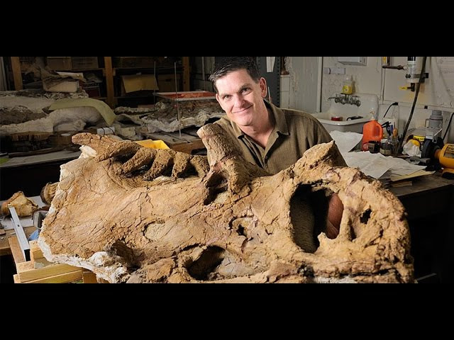 Un cocodril del Cretaci va sopar un dinosaure abans de morir