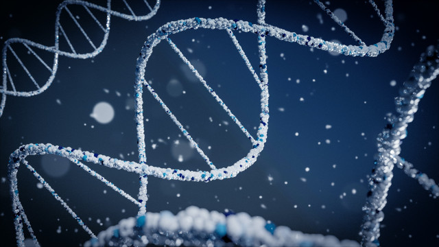 Creen un arbre genealògic que traça l'ascendència de tots els humans