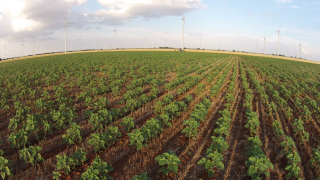 Fusió entre el Grup Fruiter Benissanet i la Cooperativa Agrícola Sant Jaume de Benissanet