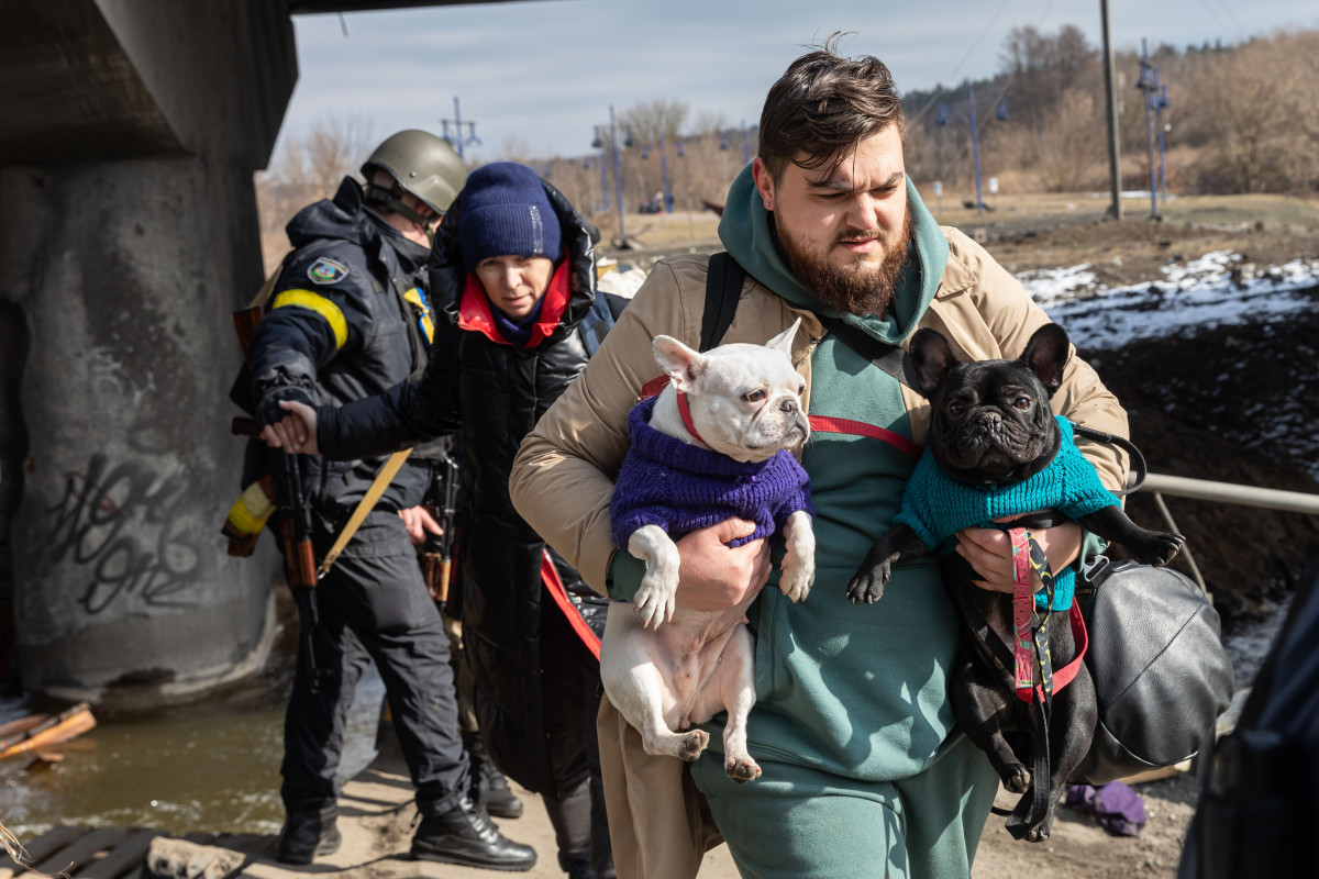 EuropaPress 4307354 marzo 2022 irpin ucrania hombre visto perros evacuacionmiles residentes