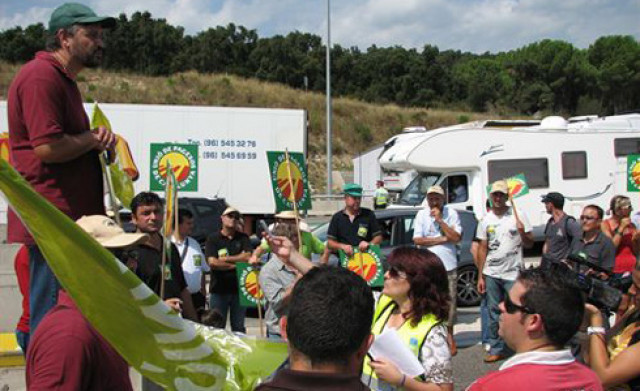 Fruta frontera ok 1