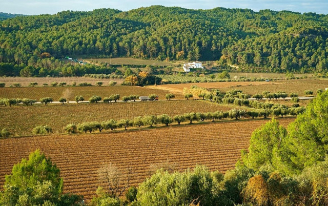 EuropaPress 4366273 diputacion barcelona alerta perdida suelo agrario provincia