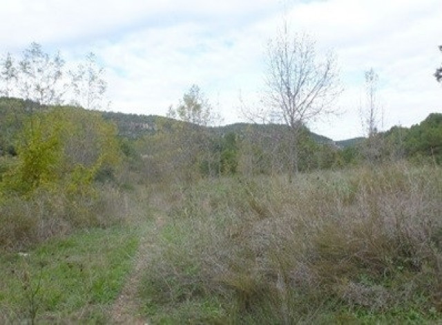 L'ACA impulsa la recuperació fluvial del riu Gaià a Querol