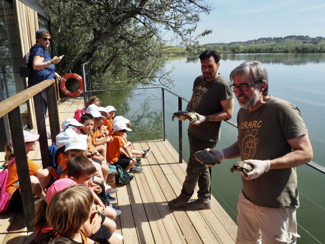 EuropaPress 4457387 ninos ninas primaria escuela claver raimat participado liberacion tortugas