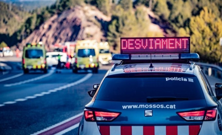 Un dromedari i dos bous s'escapen i provoquen un accident entre dos vehicles a la Jonquera