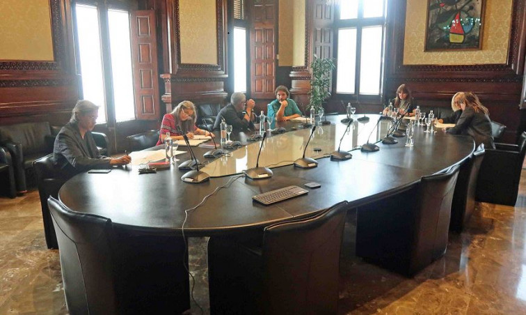 Tots pendents del Consell de Garanties Estatutàries i la seva posició sobre la 'Llei del català'