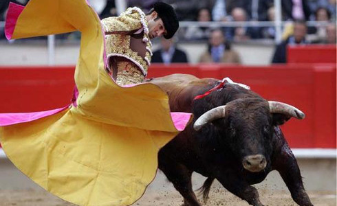 Toros bcn 1