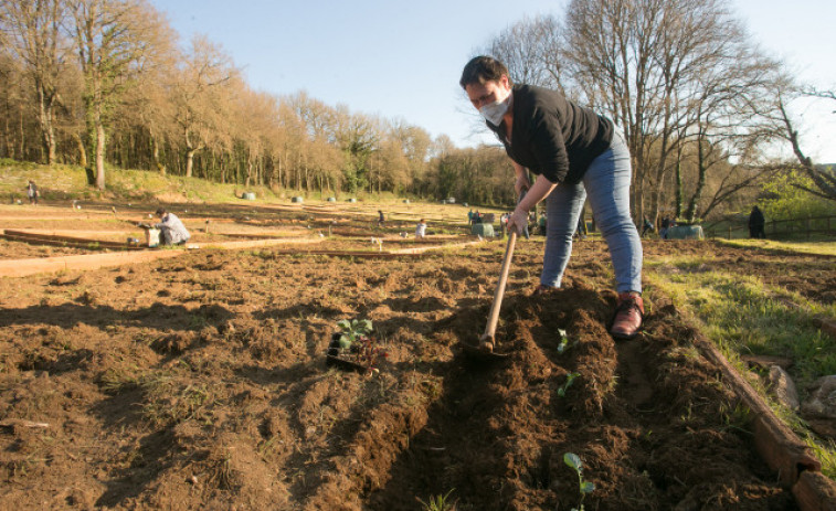 El PSC proposa un pla per millorar les condicions i els drets de les dones de l'àmbit rural