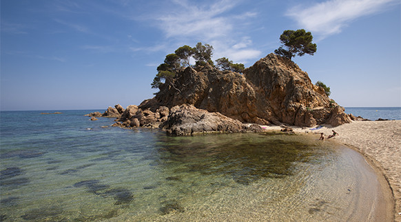 Catalunya press   cap roig