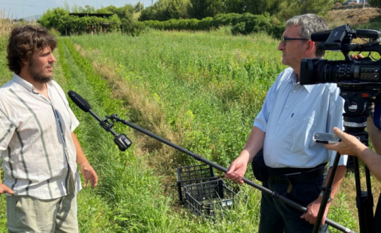 Projecte pioner per als joves agricultors de Sant Vicenç dels Horts