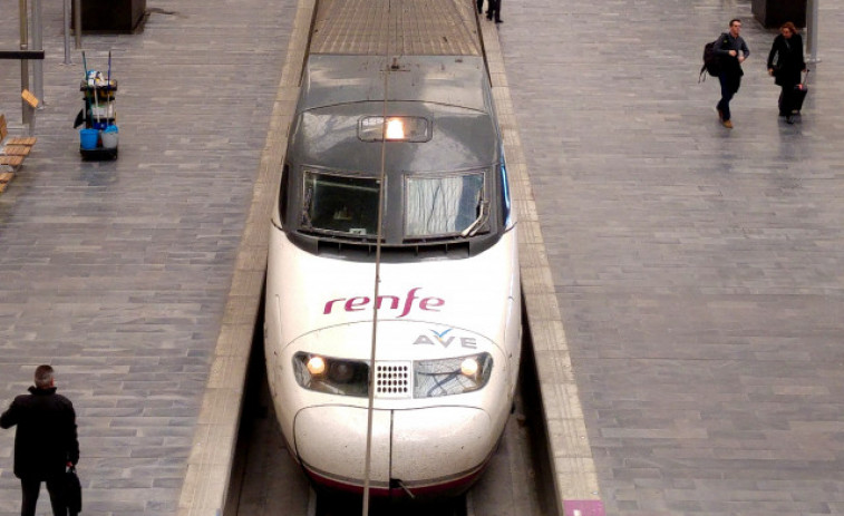 Renfe realitzarà una prova pilot per transportar gossos de fins a 40 kg en AVE