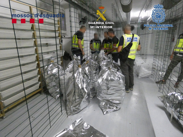 Incautades més de cinc tones de marihuana a Mataró i Pineda de Mar