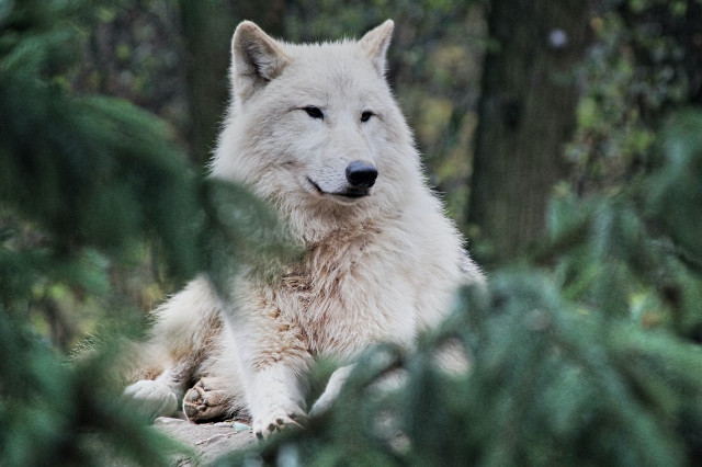 DusanveverkologlxLpM1wFIpcunsplash