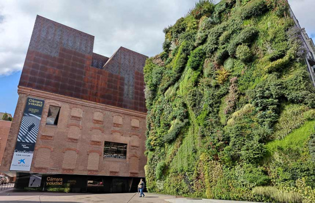 Arriba 'CaixaForum+', la plataforma de continguts per connectar amb la cultura i la ciència