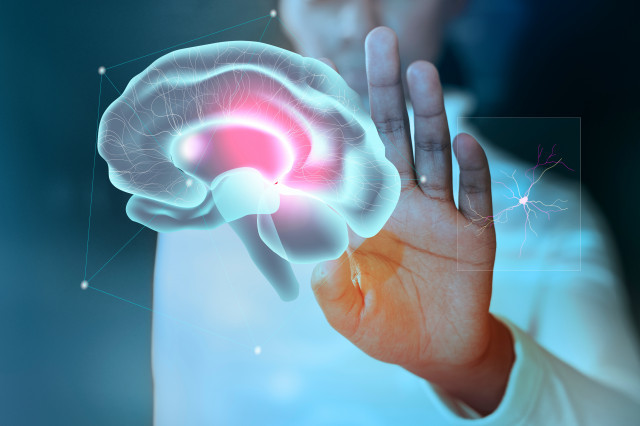 Descobriu l'existència d'una xarxa cerebral comuna per a les malalties psiquiàtriques