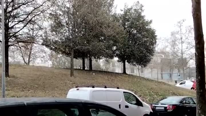 WhatsApp Video 2023 01 24 at 11.01.22 (1)