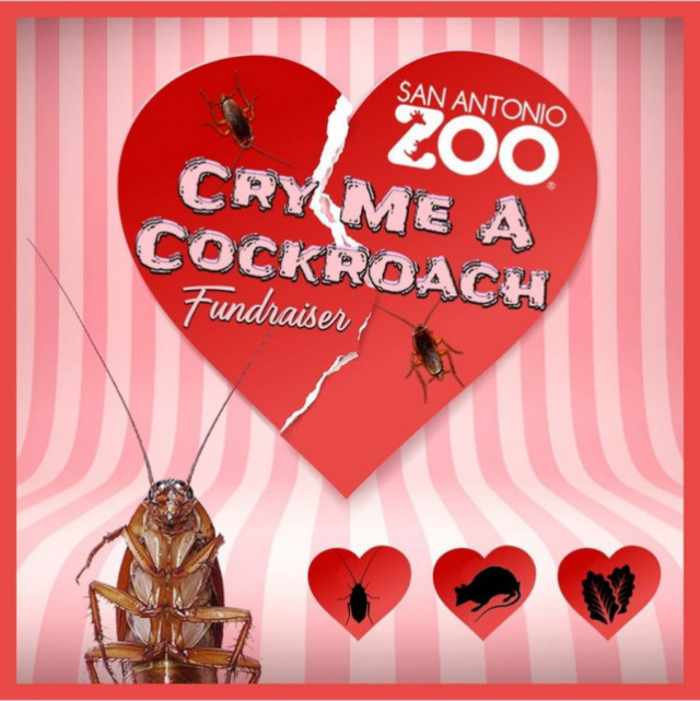 Posa a una panerola el nom del teu ex: un zoo es torna viral per aquesta acció durant Sant Valentí