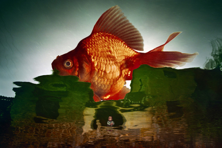'Dream On, We're Almost Home': el llibre fotogràfic creat durant el confinament a Xina