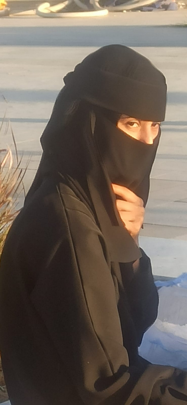 Imatges saudites