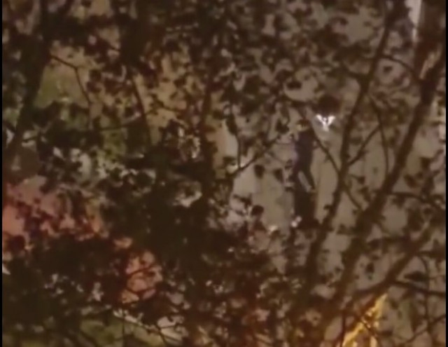 VÍDEO: Baralla a cops de matxet entre dues bandes de narcotraficants a Badalona