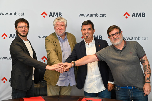 Amb 8