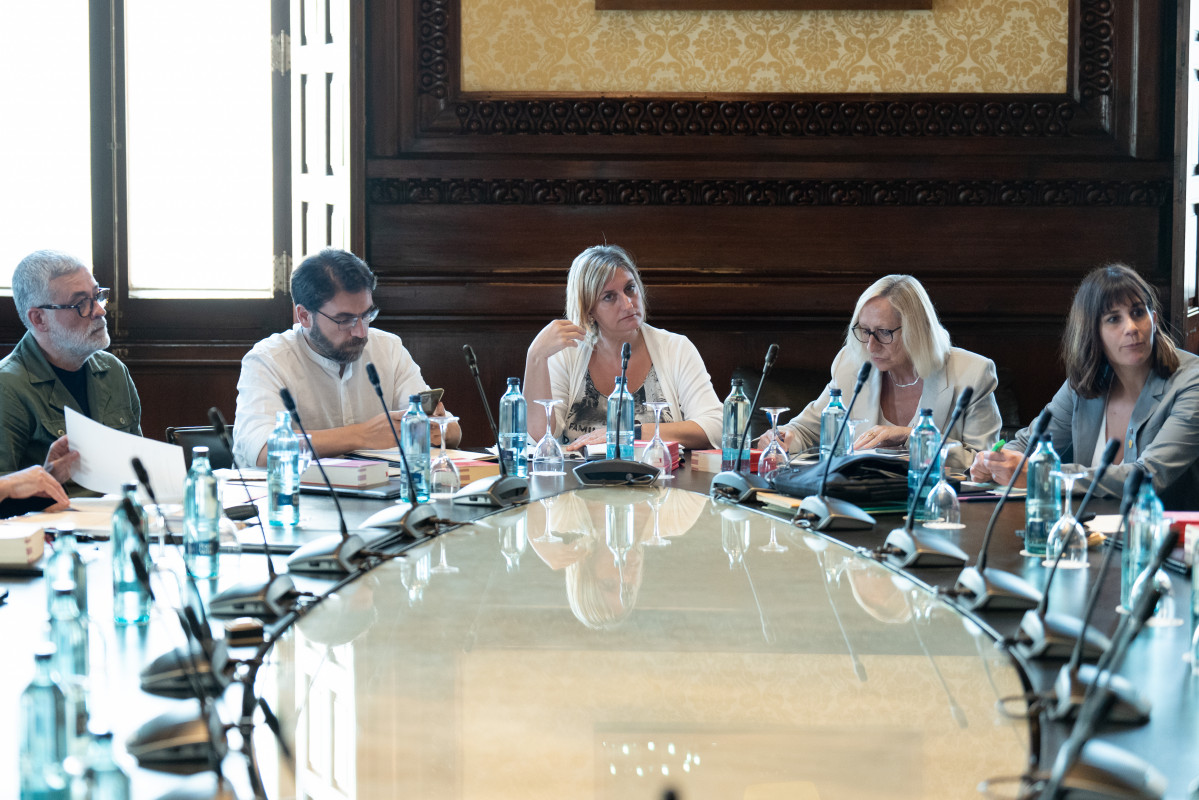 EuropaPress 5241348 vicepresidenta primera parlament funciones presidenta alba verges reunion