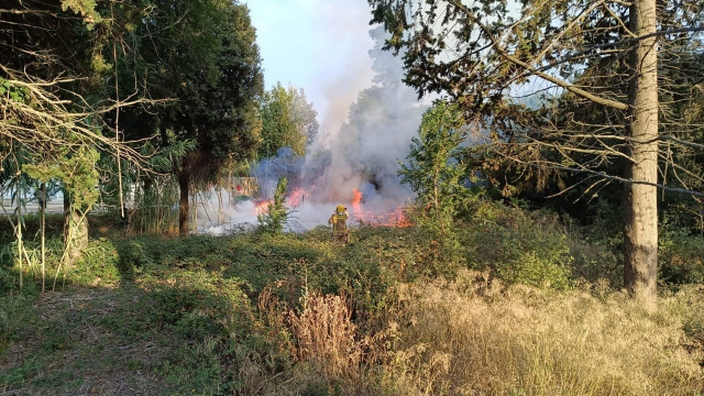 EuropaPress 5362957 incendios presuntamente provoco detenido castell platja daro girona