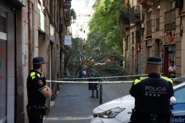 EuropaPress 5366772 bomberos mossos desquadra acuden raval barcelona donde caido palmera mujer