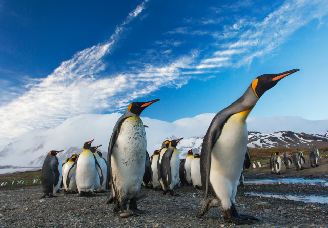 Ianparker2CA93gJIh98unsplash