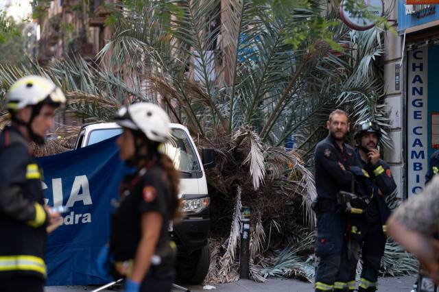 EuropaPress 5366775 bomberos mossos desquadra acuden raval barcelona donde caido palmera mujer