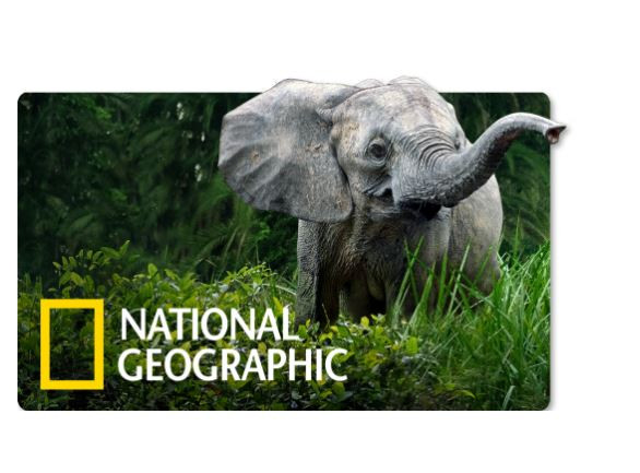 National