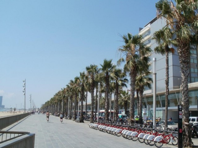 Bcn 5 1