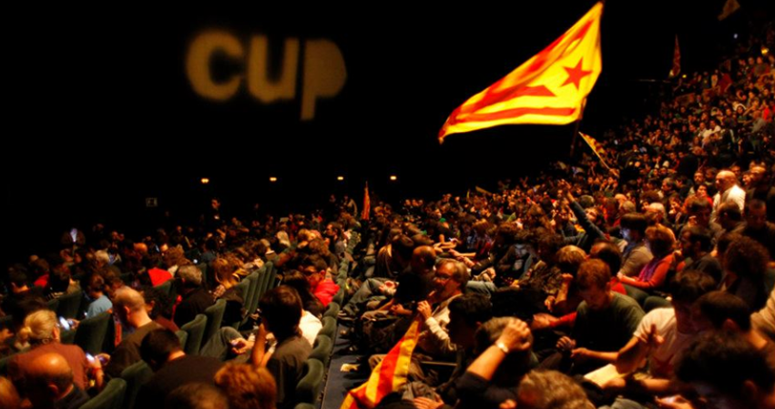 Cup9