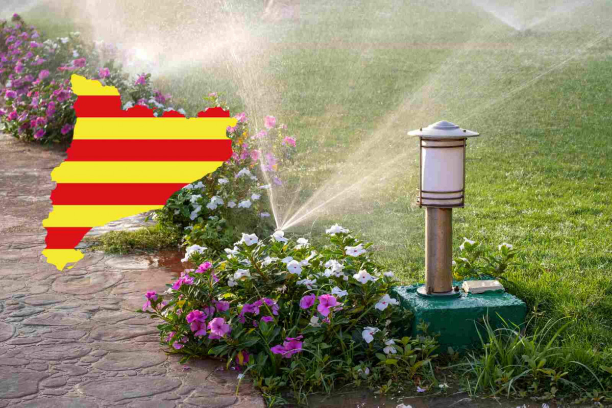 Regar restricciones 4 1600 1067
