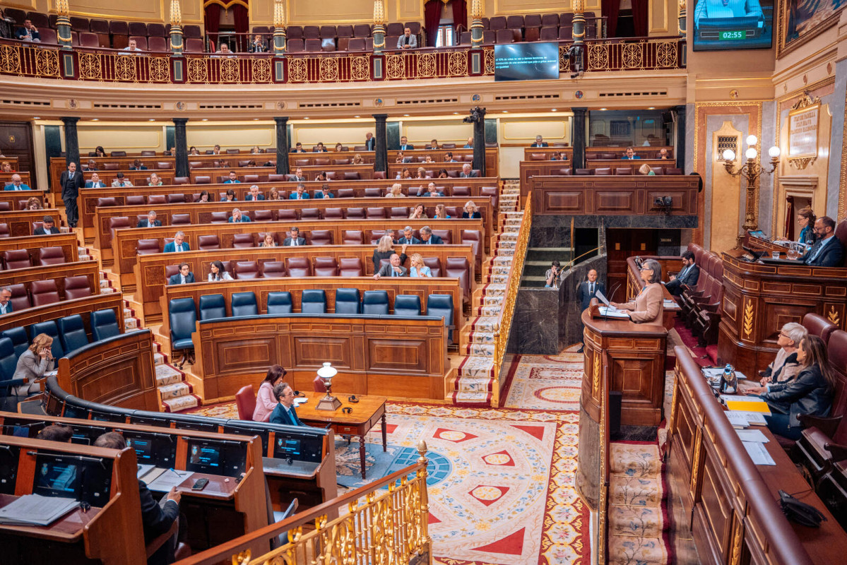 Europapress 5979144 diputada psoe maria adrio interviene sesion plenaria congreso diputados 23 1600 1067